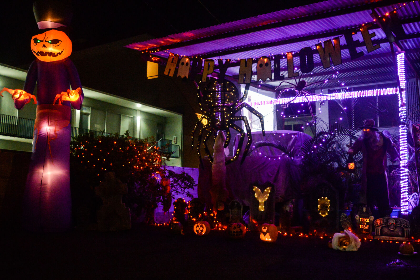 Kingst_Halloween 2020_10-31-20.JPG